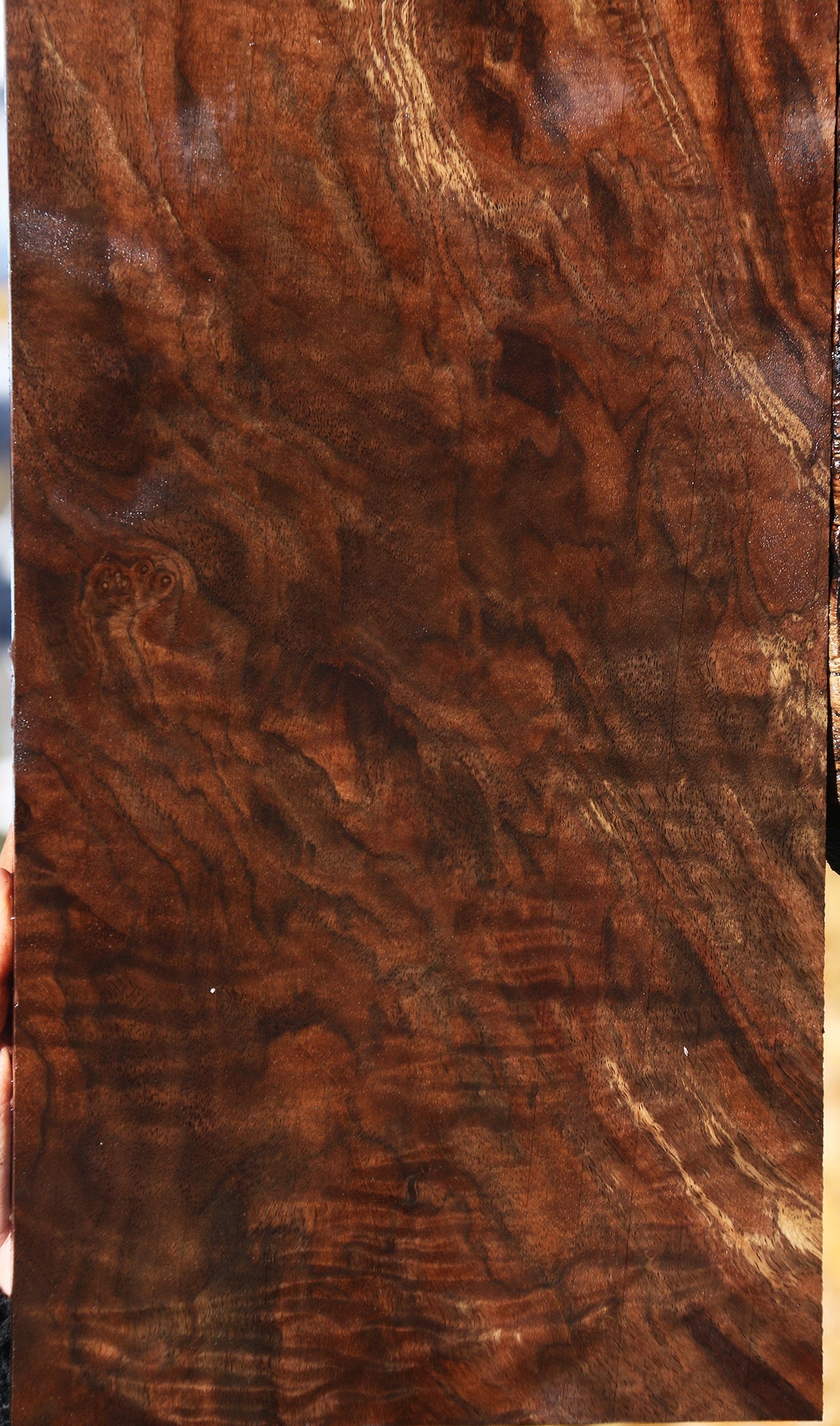 Extra Fancy Grafted Claro/English Walnut Instrument Lumber