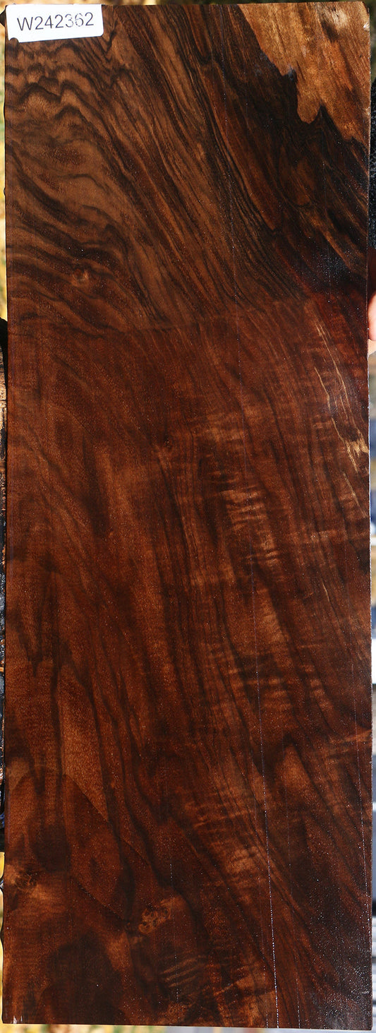 Figured Grafted Claro/English Walnut Instrument Lumber