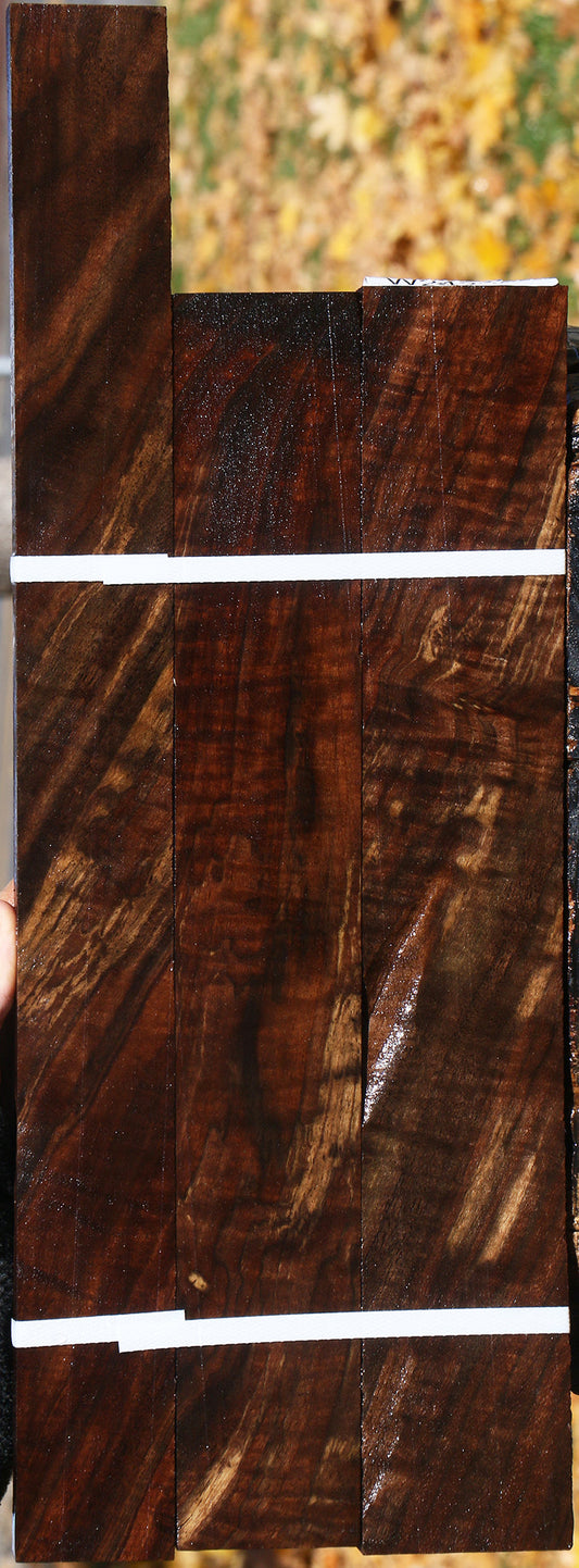 Claro Walnut Lumber 3 Pack