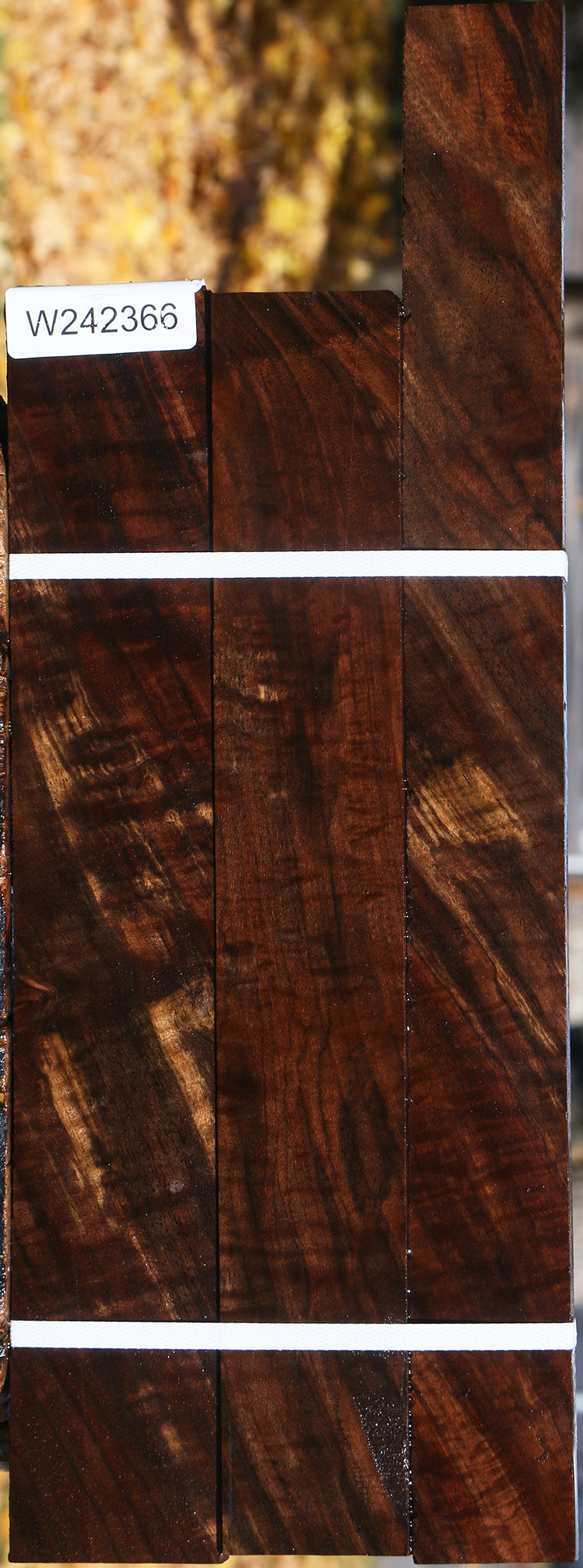Claro Walnut Lumber 3 Pack