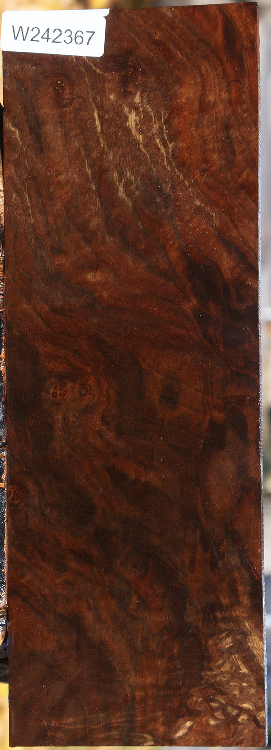 Extra Fancy Claro Walnut Lumber