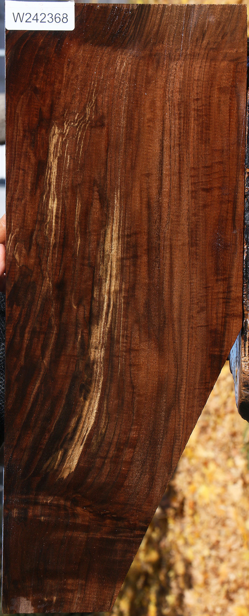 Extra Fancy Claro Walnut Lumber