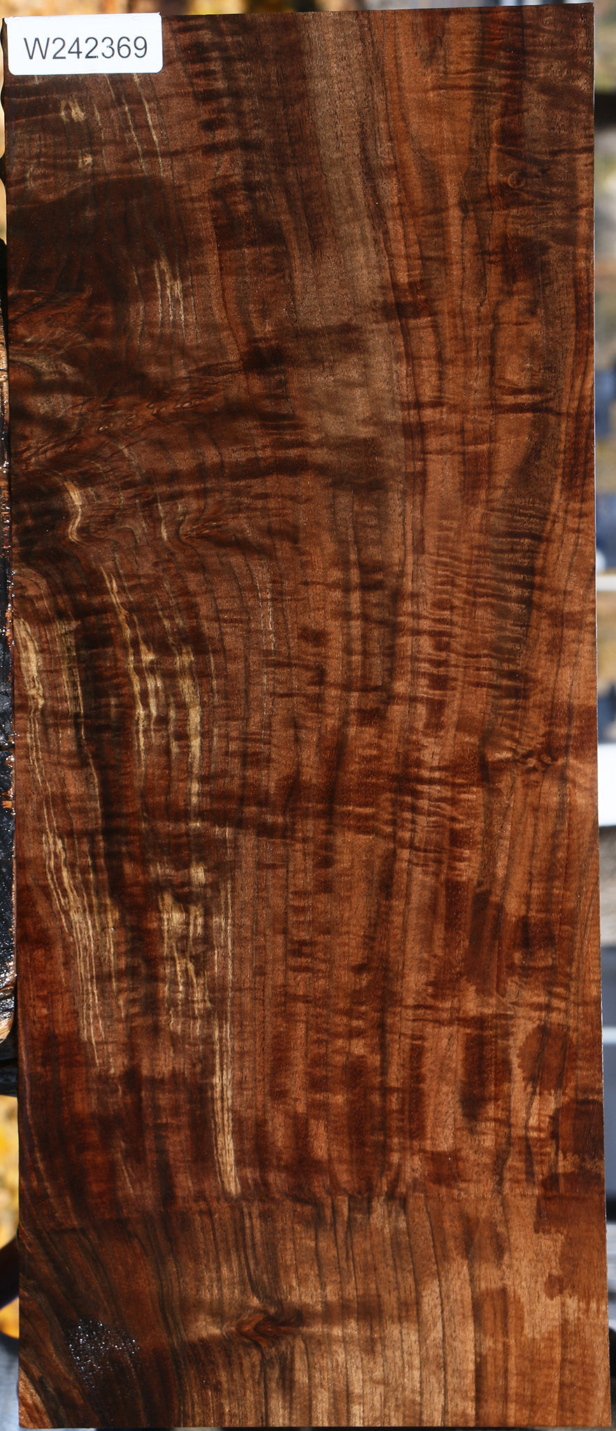 Extra Fancy Grafted Claro/English Walnut Instrument Lumber