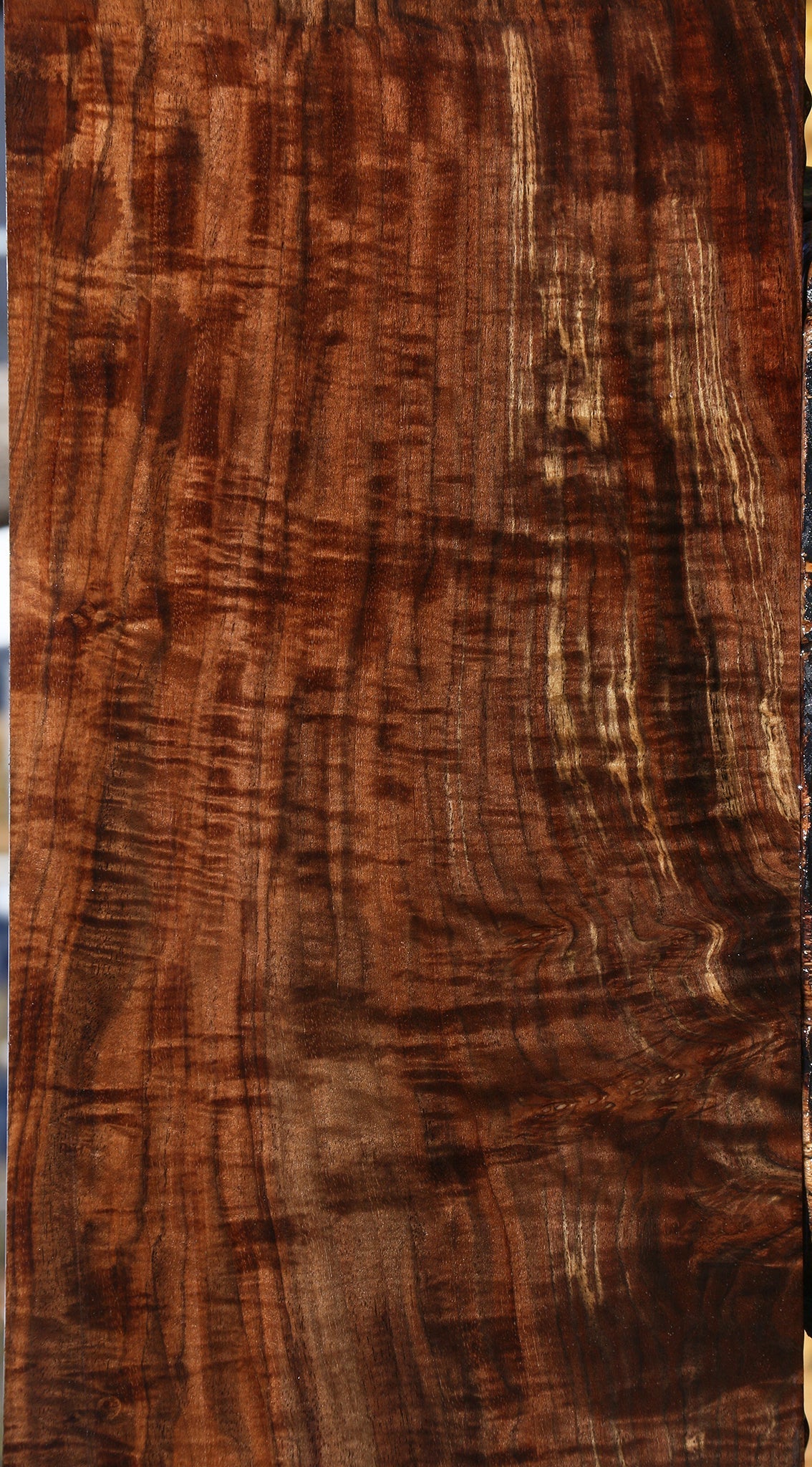 Extra Fancy Grafted Claro/English Walnut Instrument Lumber