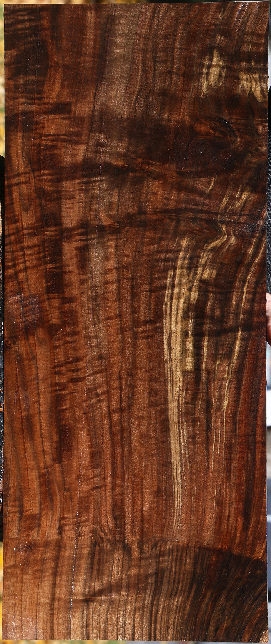 Extra Fancy Grafted Claro/English Walnut Instrument Lumber