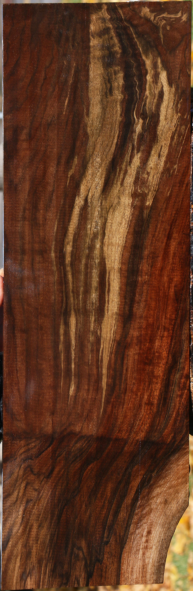 Extra Fancy Grafted Claro/English Walnut Lumber