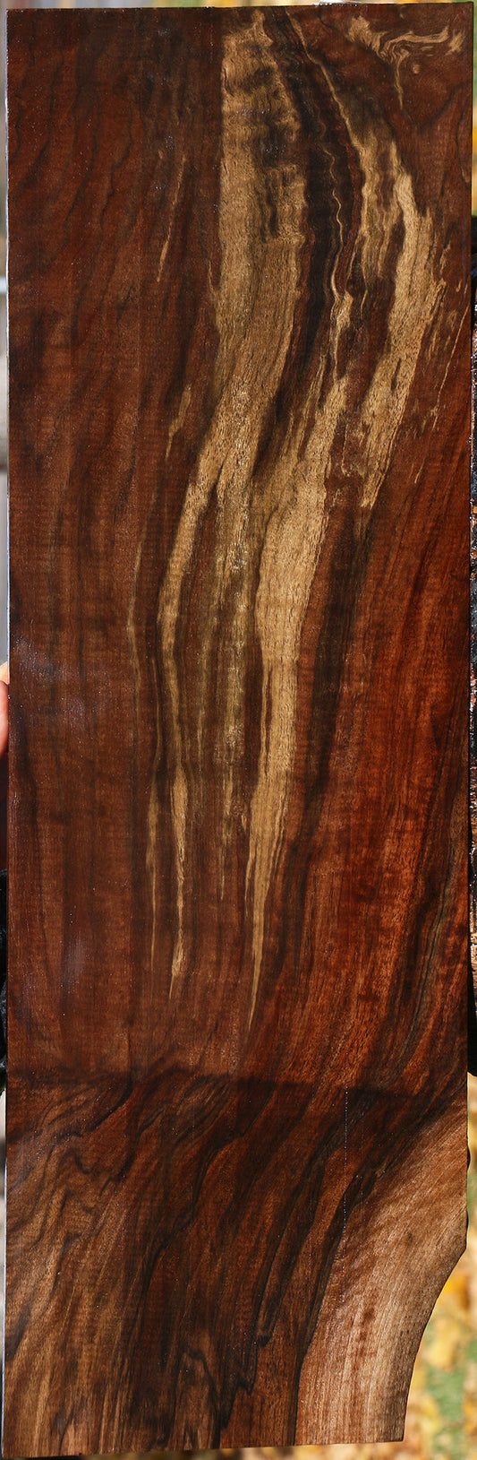 Extra Fancy Grafted Claro/English Walnut Lumber