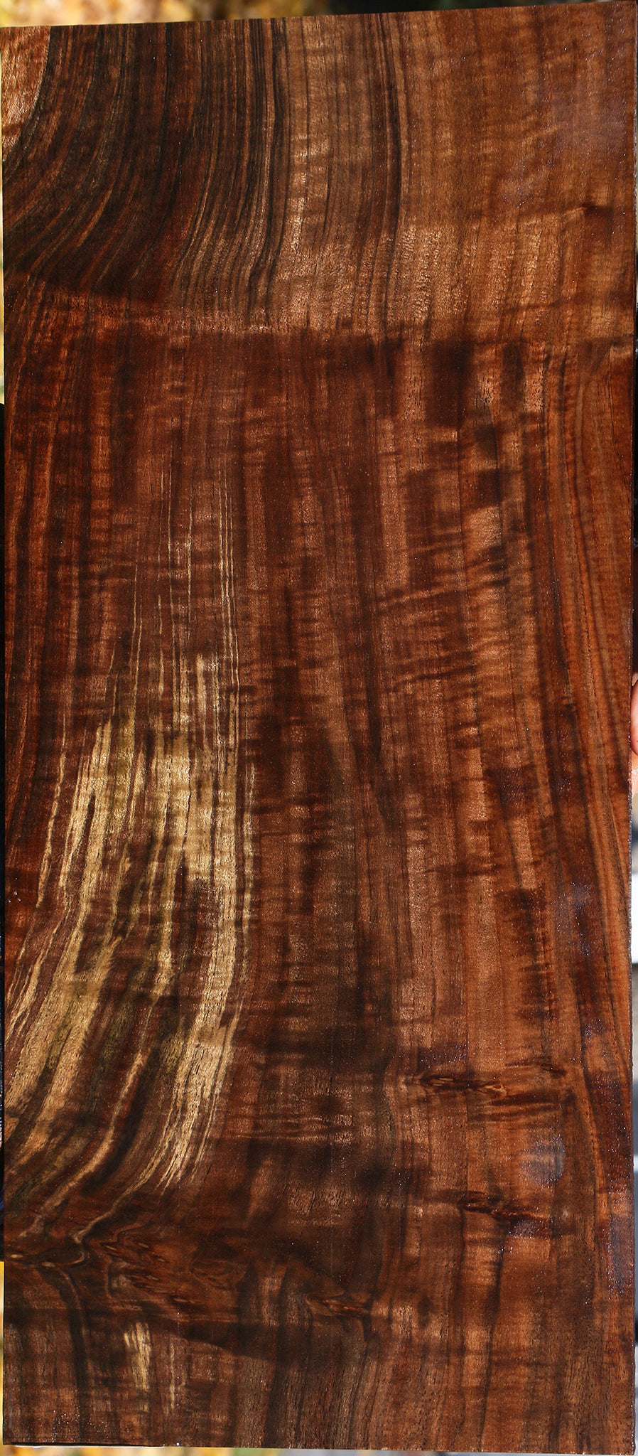 Extra Fancy Grafted Claro/English Walnut Lumber