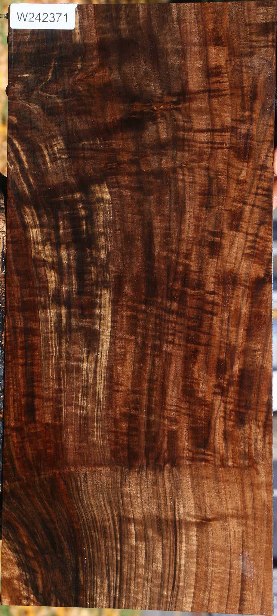 Extra Fancy Grafted Claro/English Walnut Lumber