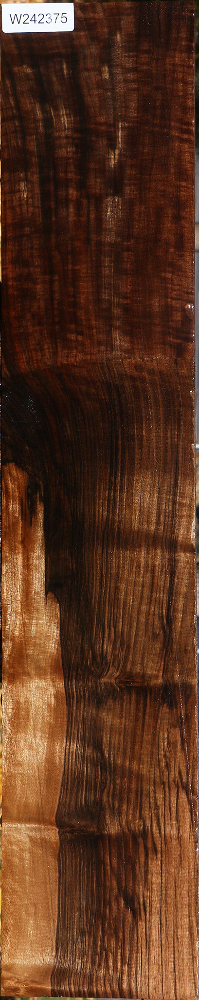 Figured Grafted English/Claro Walnut Lumber