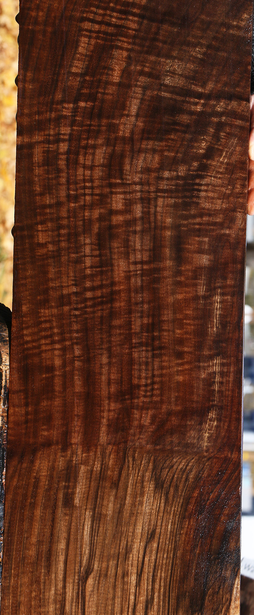 Extra Fancy Grafted English/Claro Walnut Instrument Lumber