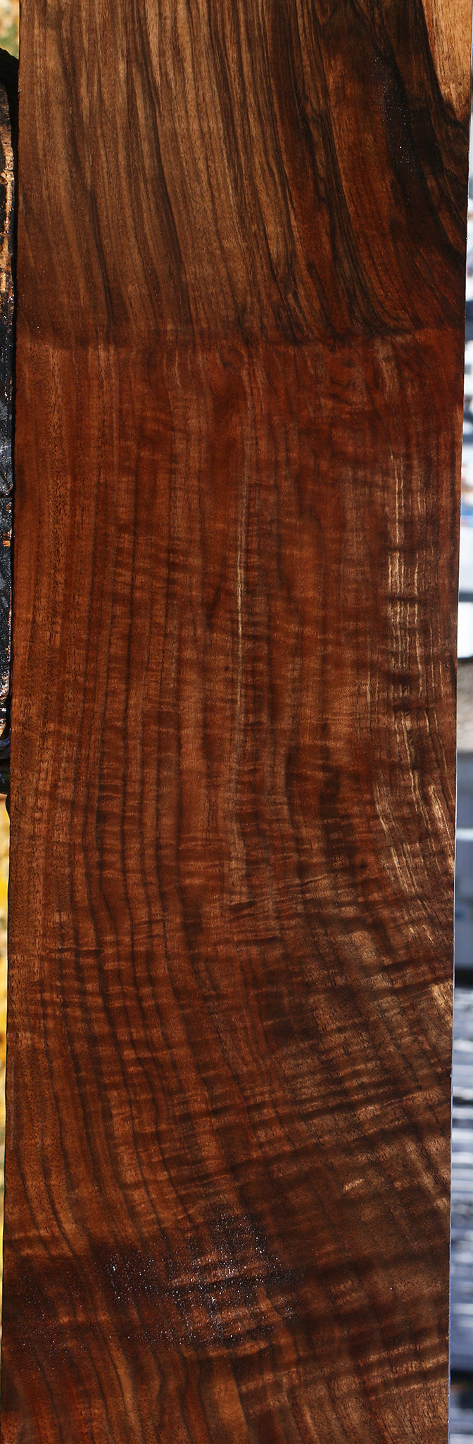 Extra Fancy Grafted English/Claro Walnut Instrument Lumber