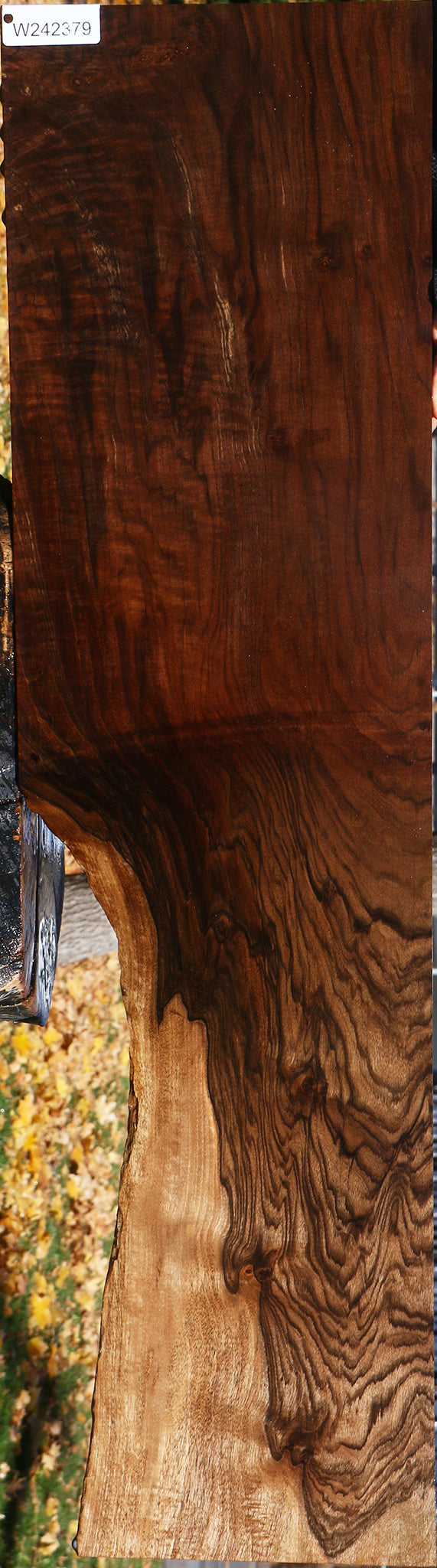 Extra Fancy Grafted Claro/English Walnut Lumber
