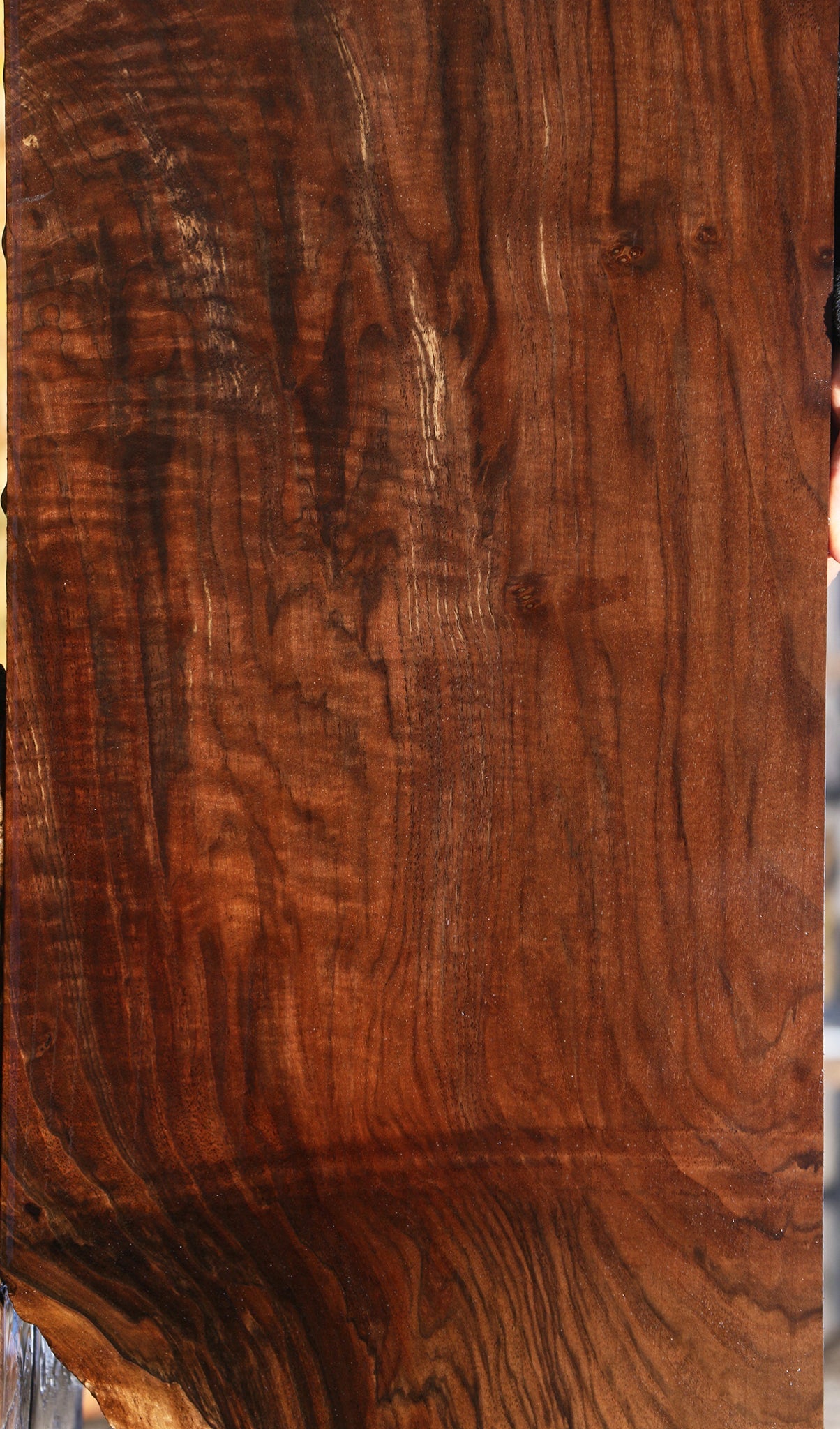 Extra Fancy Grafted Claro/English Walnut Lumber