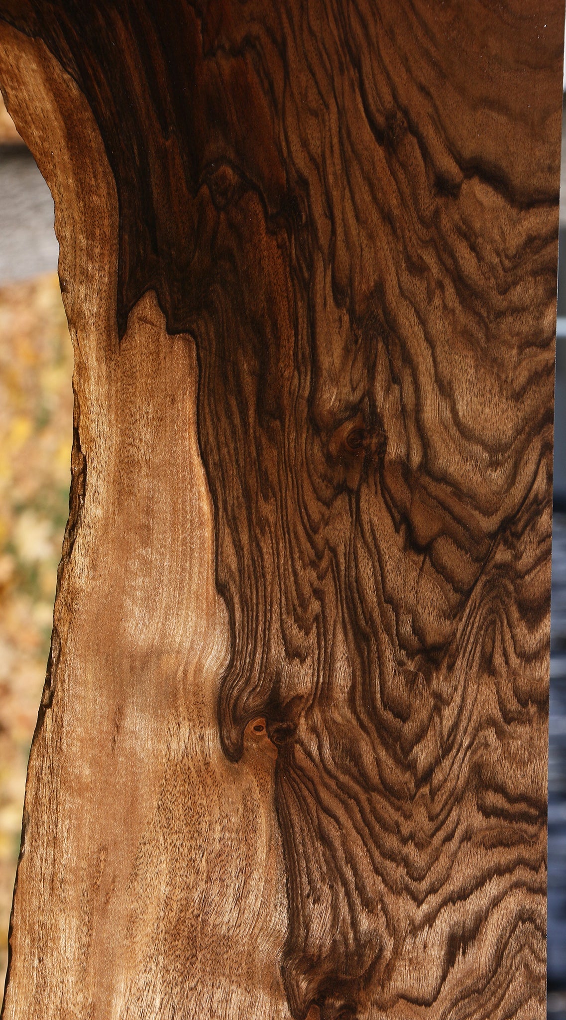 Extra Fancy Grafted Claro/English Walnut Lumber