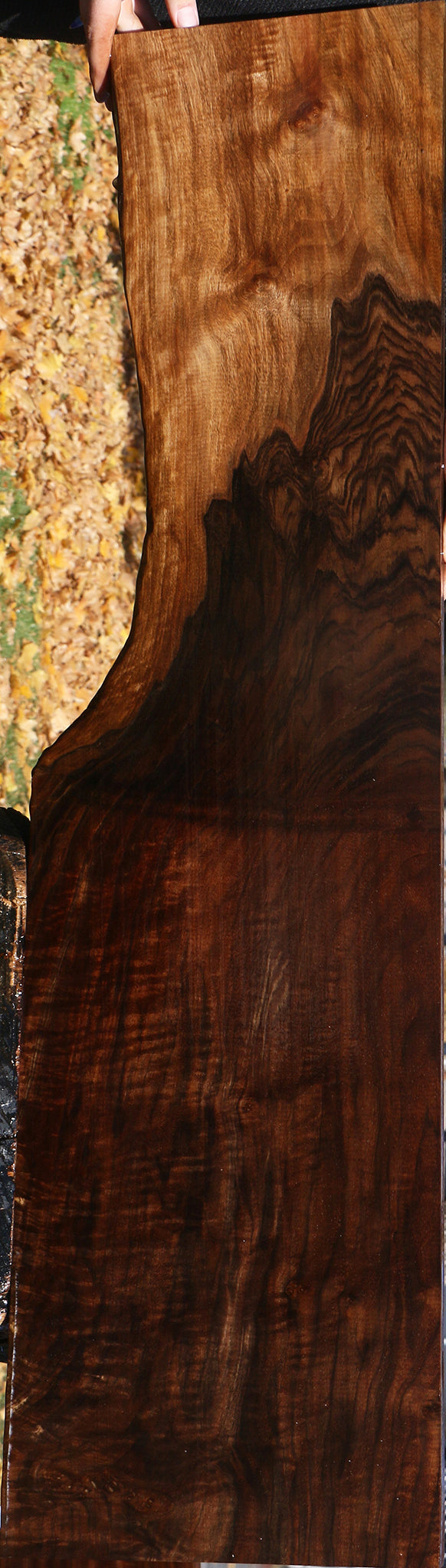 Extra Fancy Grafted Claro/English Walnut Lumber