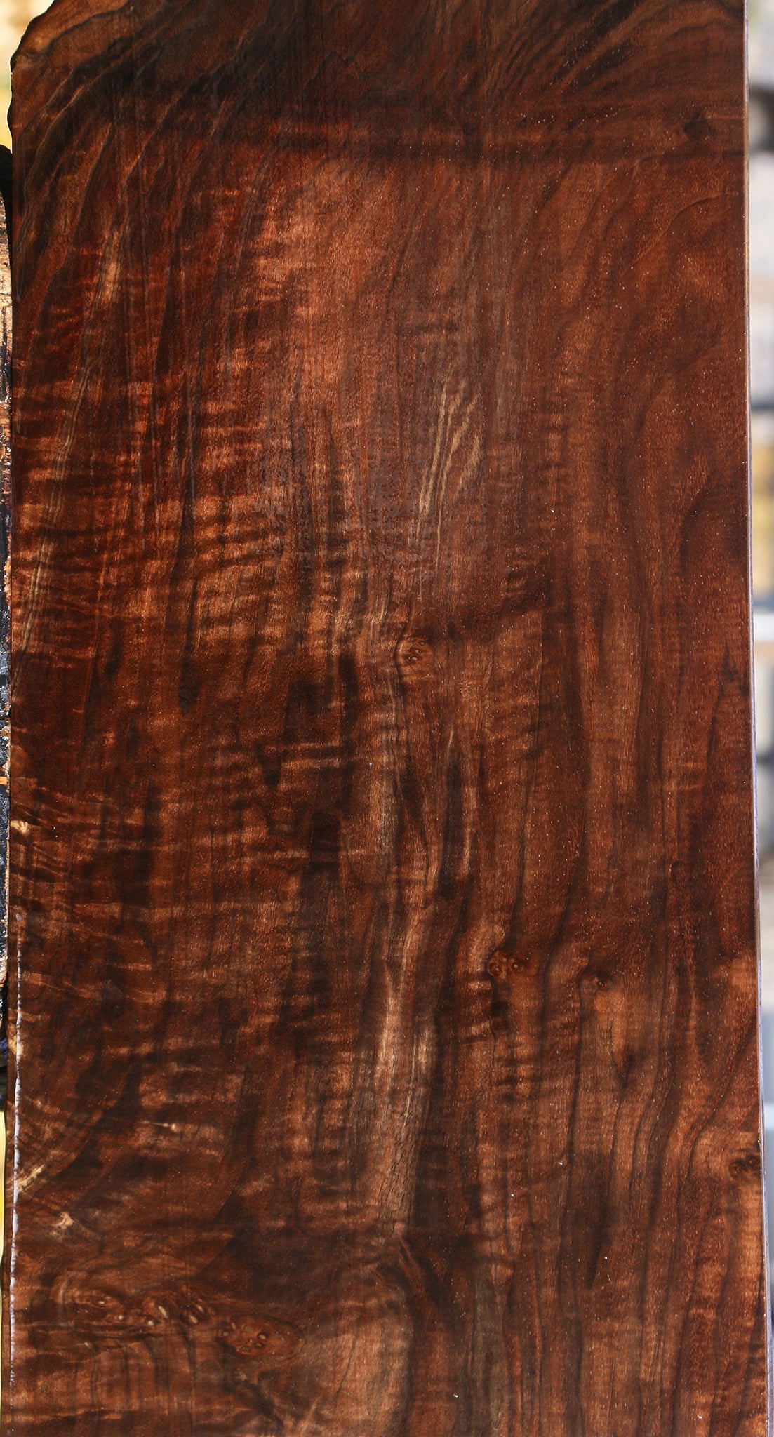 Extra Fancy Grafted Claro/English Walnut Lumber