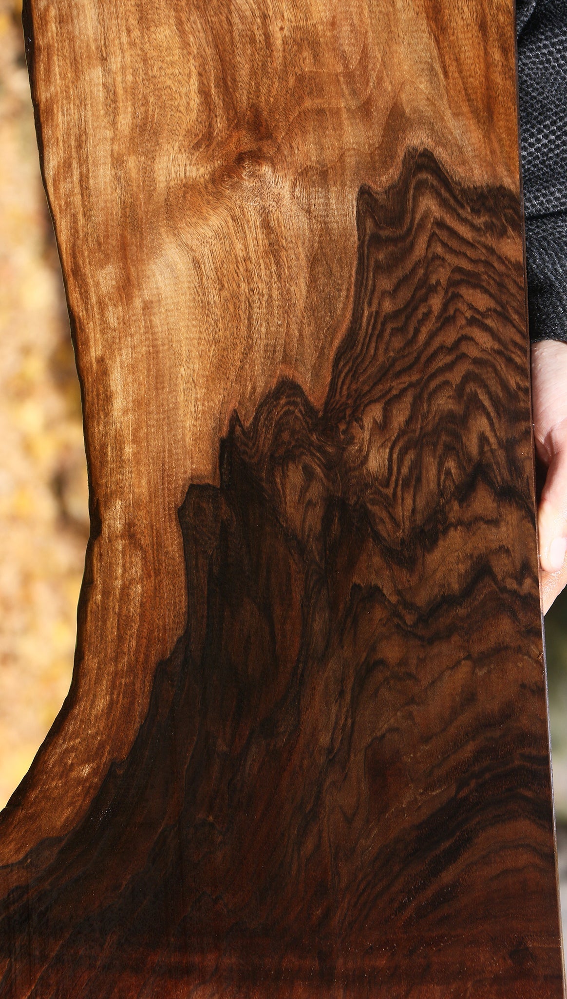 Extra Fancy Grafted Claro/English Walnut Lumber