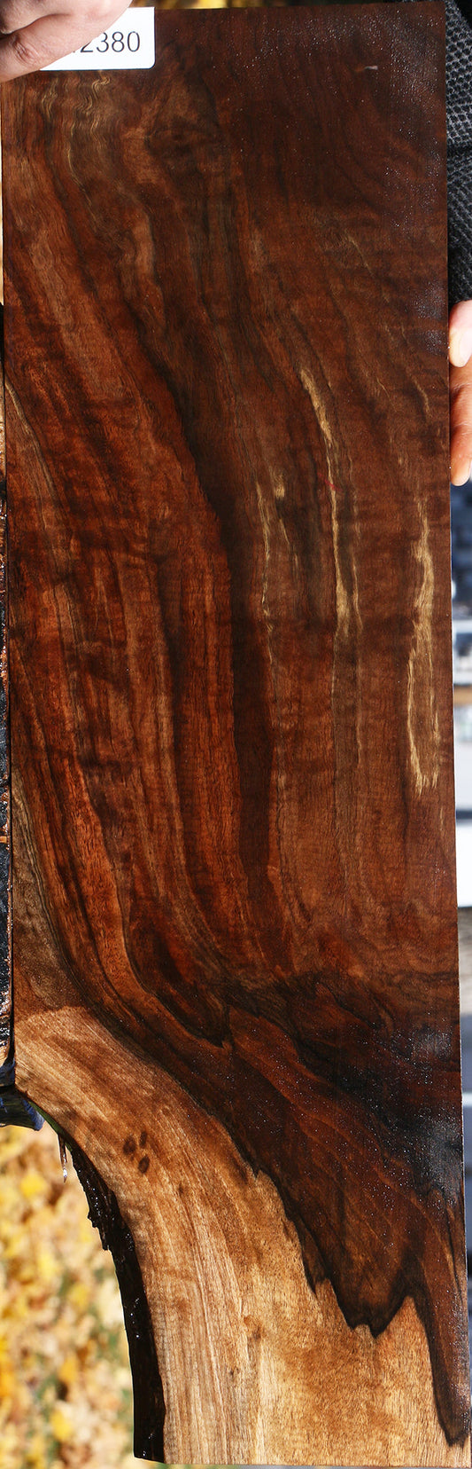 Extra Fancy Grafted Claro/English Walnut Lumber
