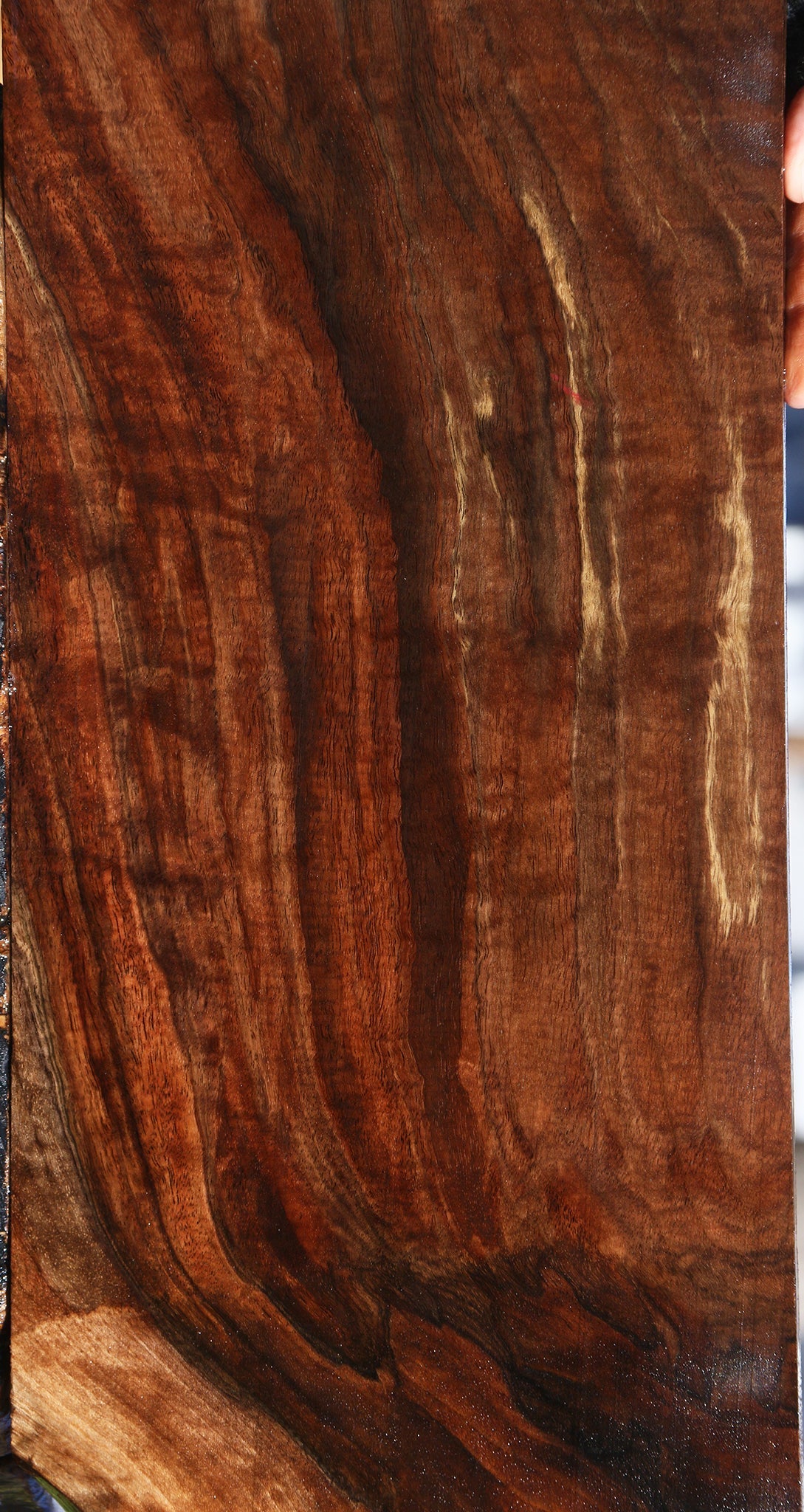 Extra Fancy Grafted Claro/English Walnut Lumber