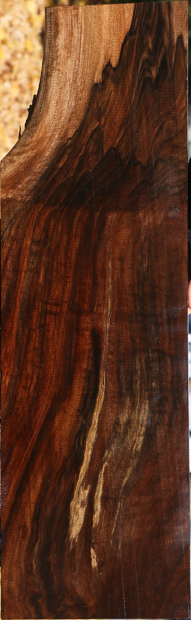 Extra Fancy Grafted Claro/English Walnut Lumber