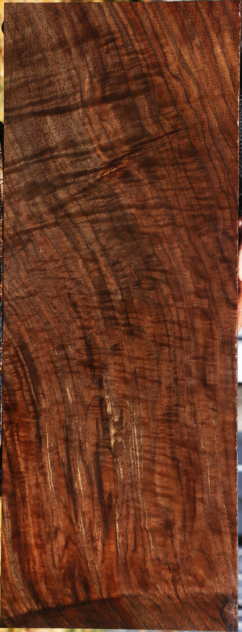 Extra Fancy Claro Walnut Instrument Lumber