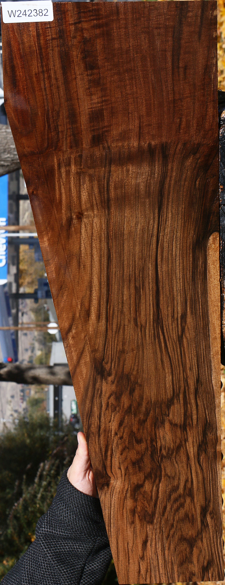 Extra Fancy Grafted English/Claro Walnut Lumber