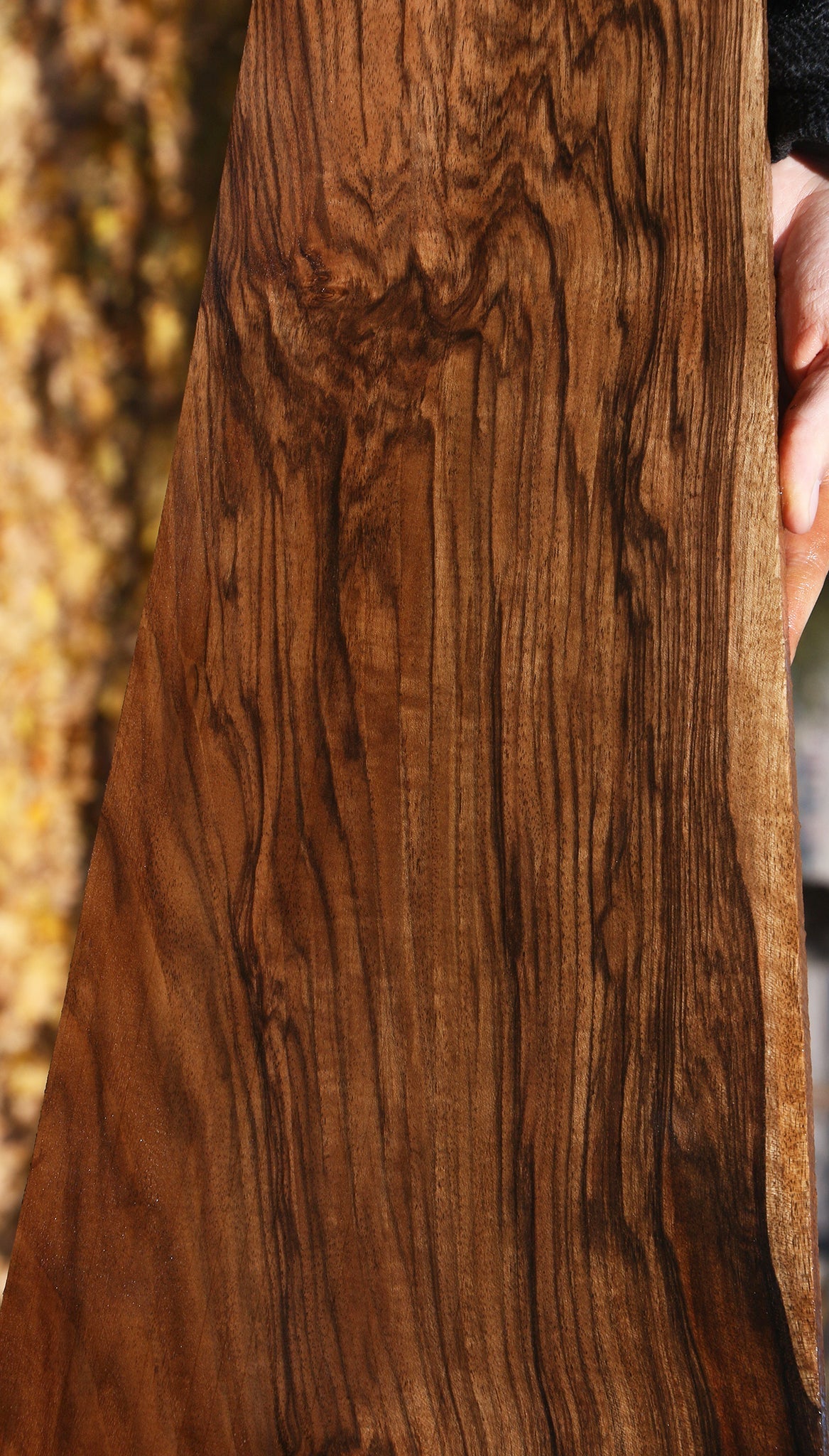 Extra Fancy Grafted English/Claro Walnut Lumber