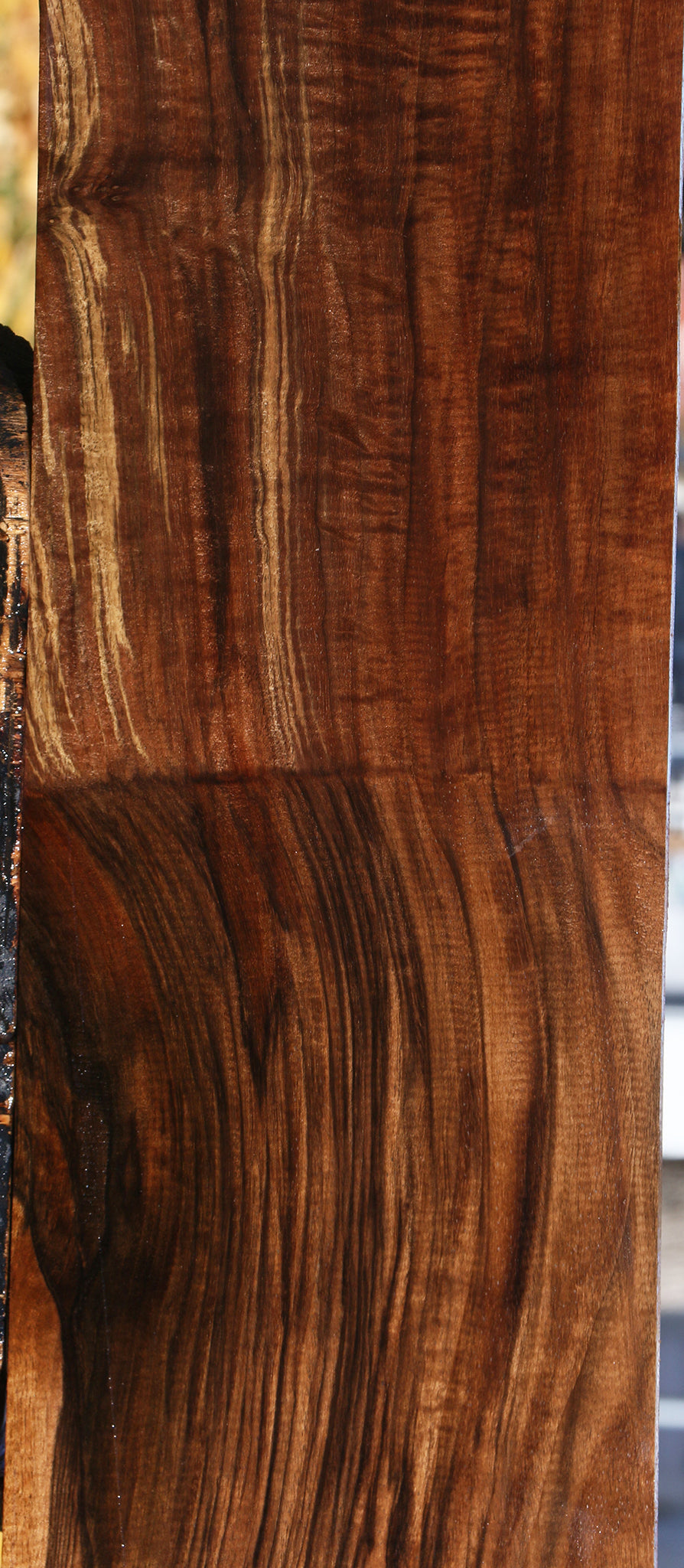 Extra Fancy Grafted English/Claro Walnut Lumber