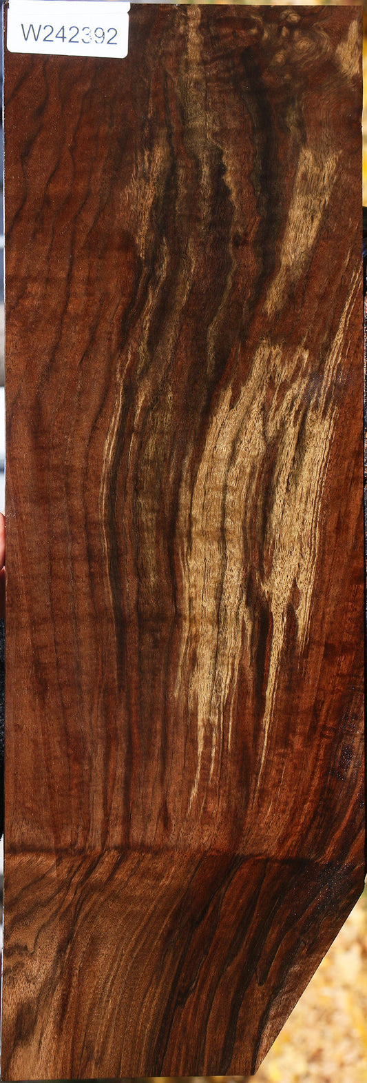 Figured Grafted Claro/English Walnut Lumber