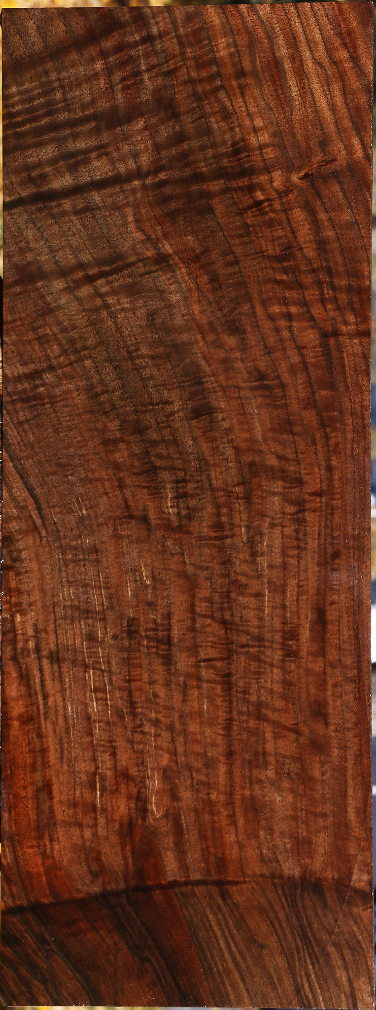Extra Fancy Grafted Claro/English Walnut Lumber