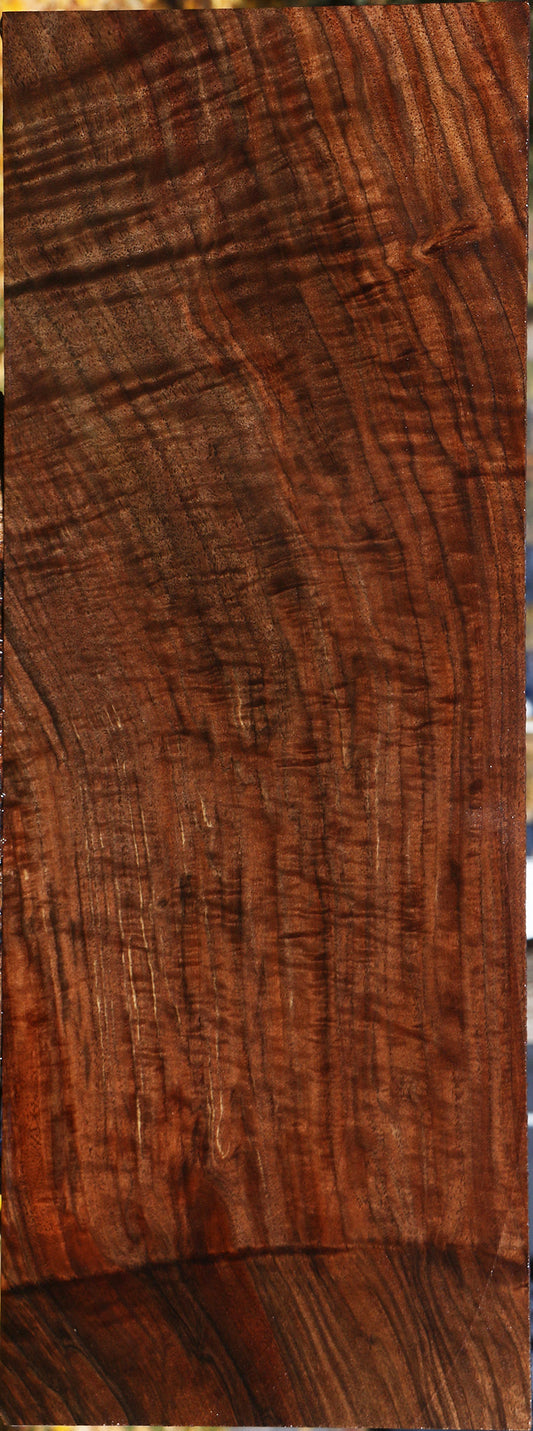 Extra Fancy Grafted Claro/English Walnut Lumber