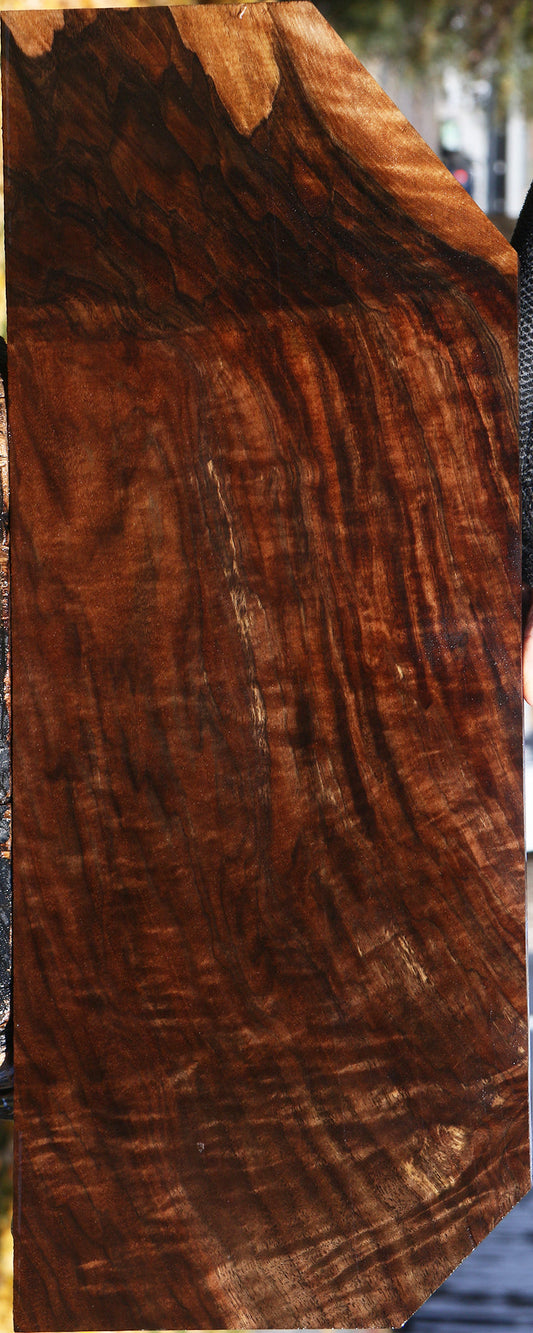 Extra Fancy Grafted Claro/English Walnut Lumber
