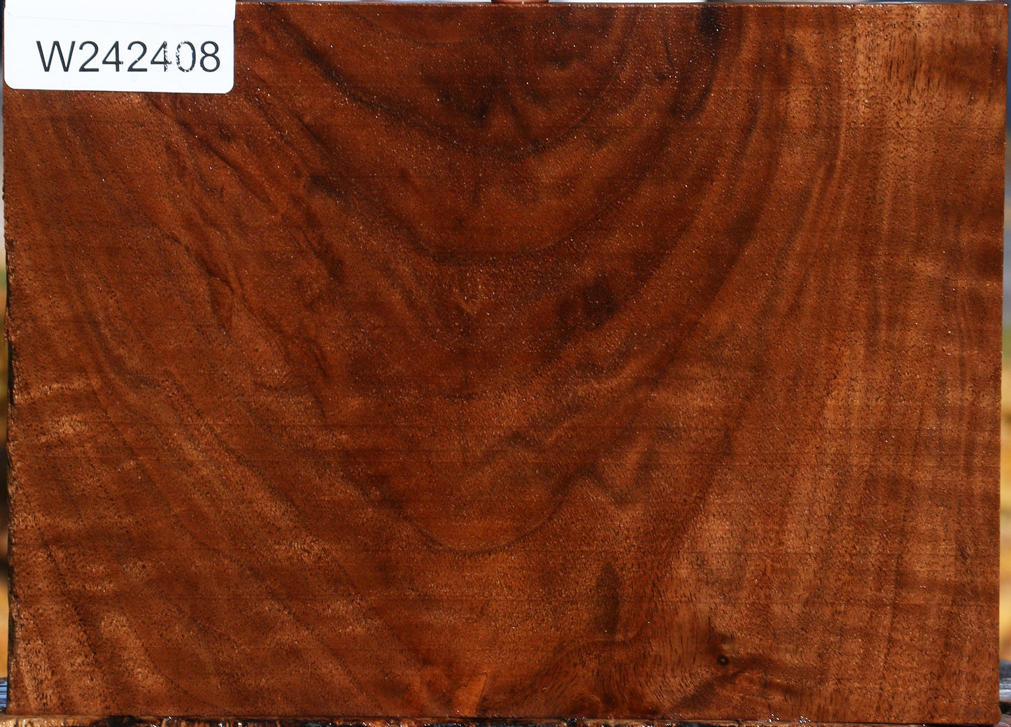 Figured Claro Walnut Lumber