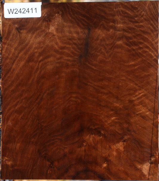 Figured Claro Walnut Lumber