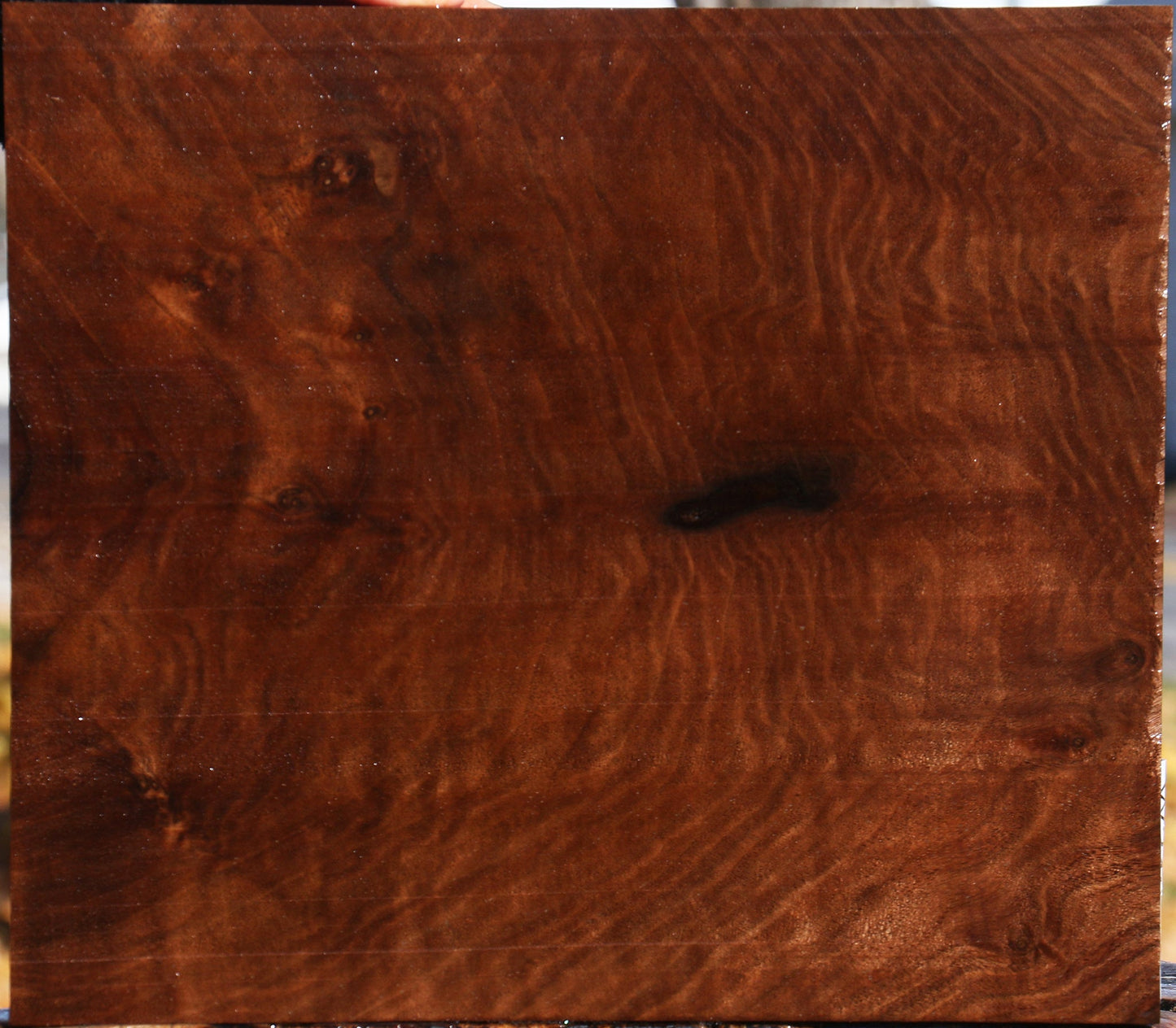 Figured Claro Walnut Lumber