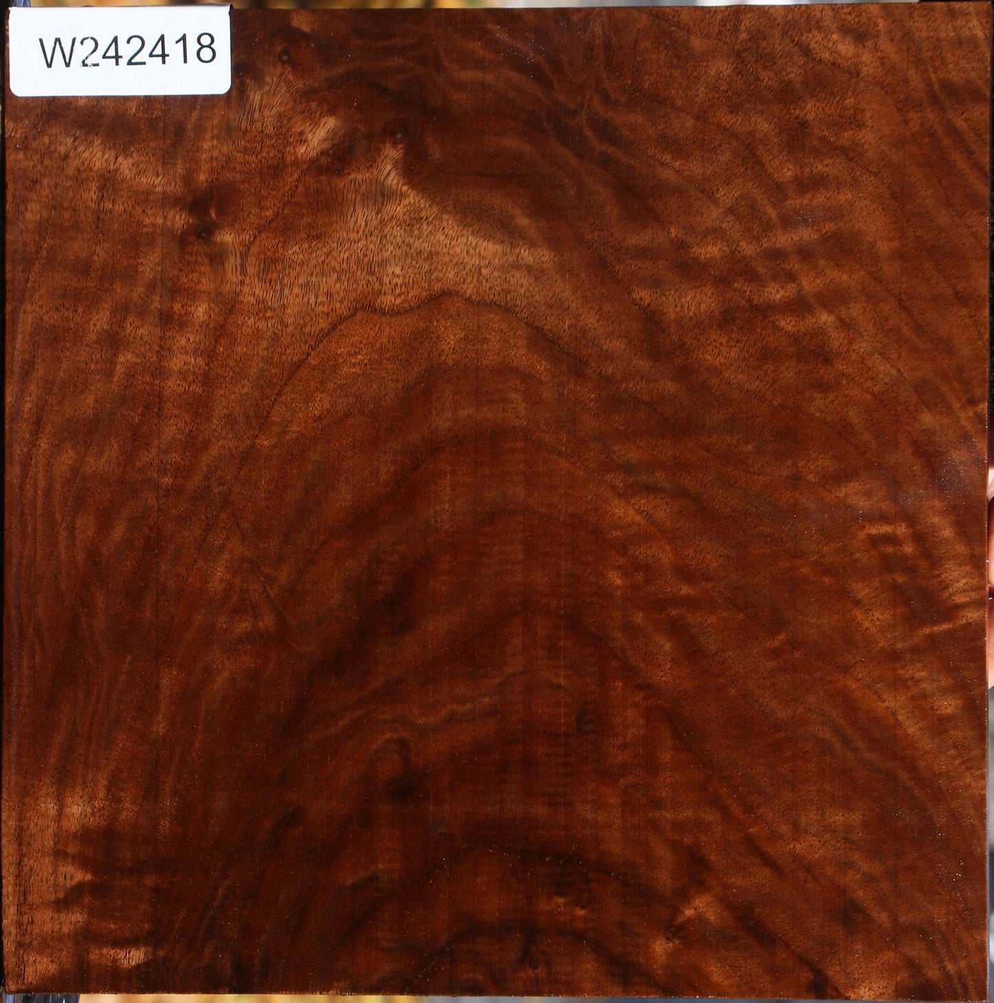 Figured Claro Walnut Lumber