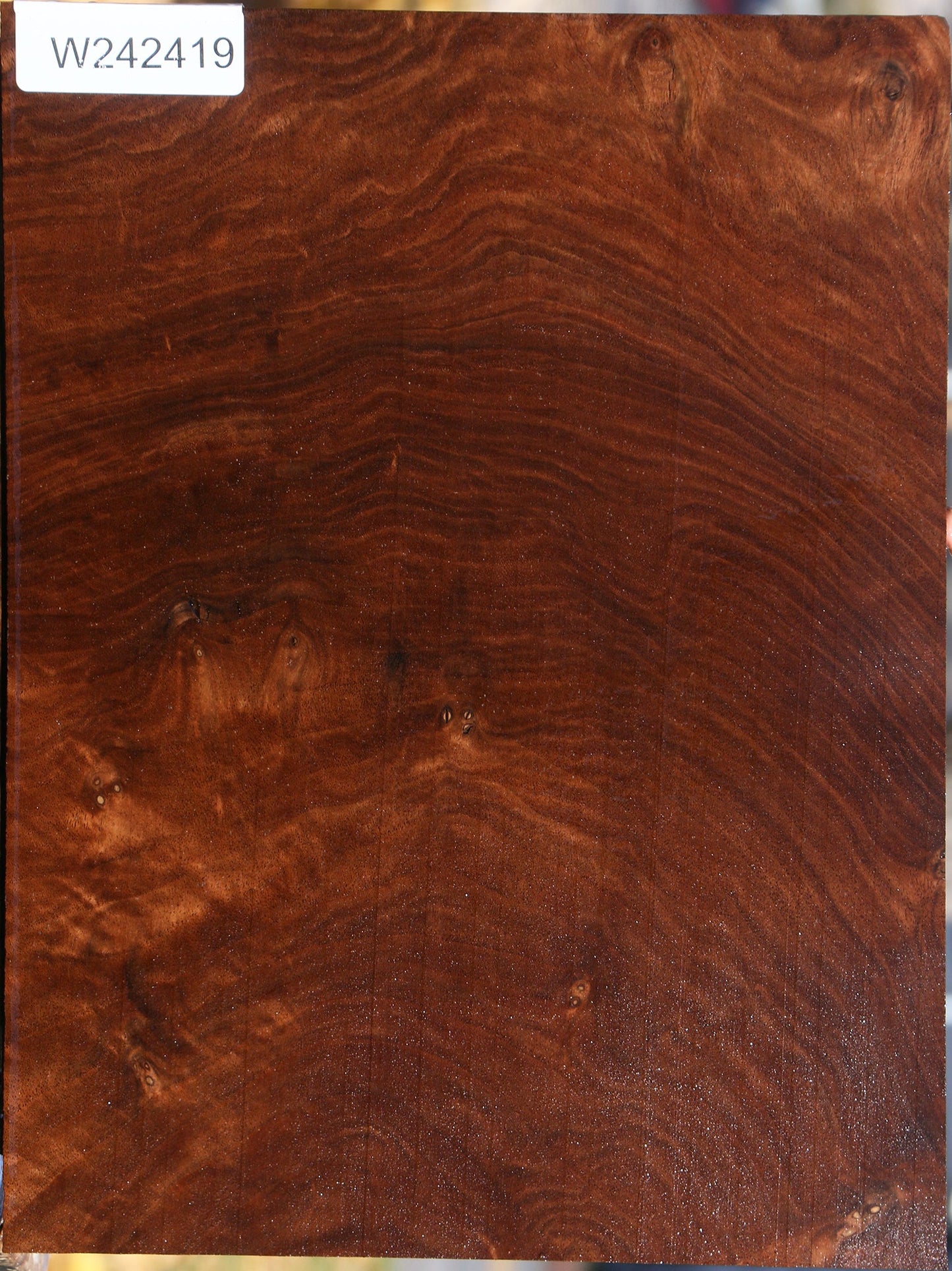 Figured Claro Walnut Lumber