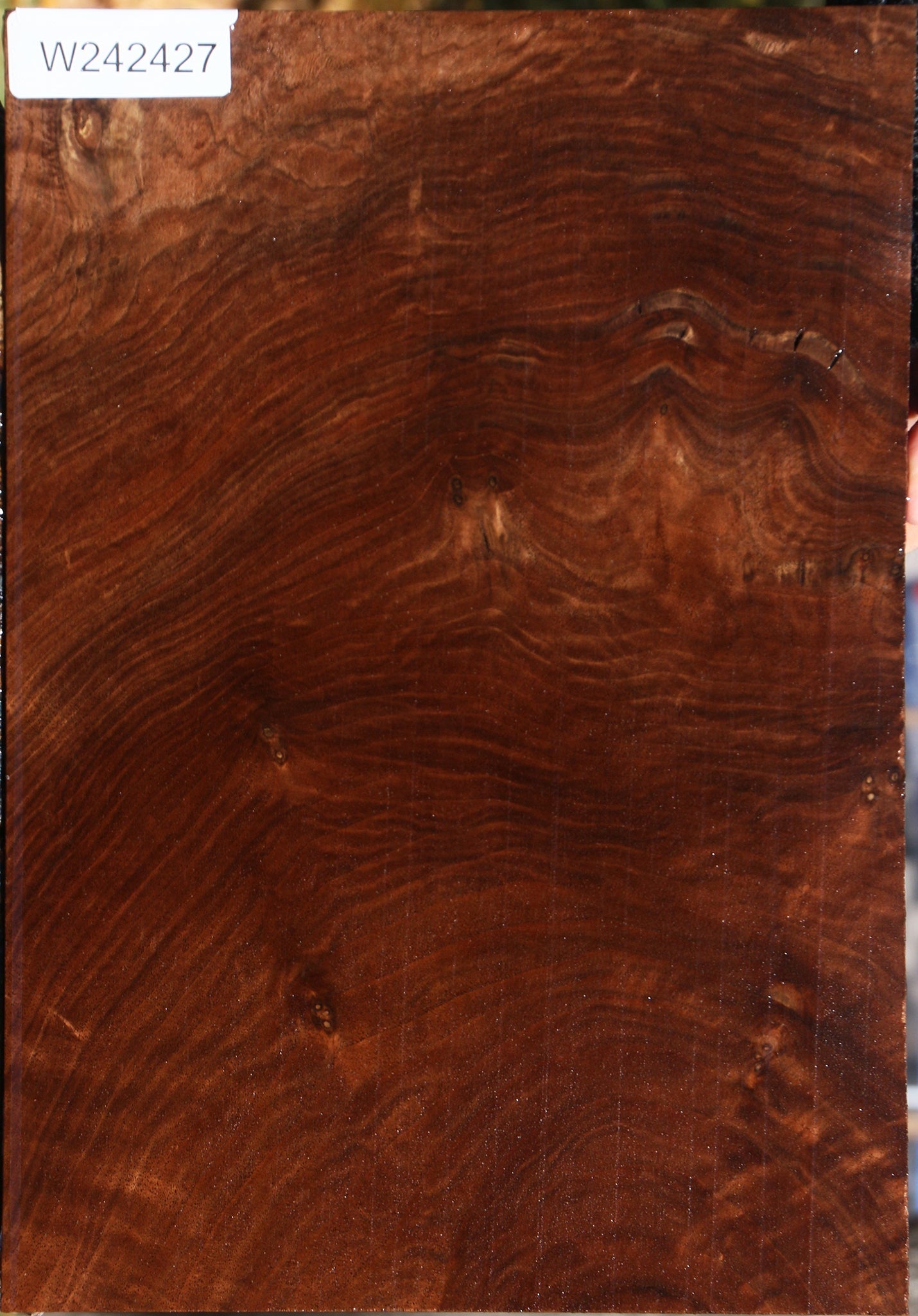 Figured Claro Walnut Lumber
