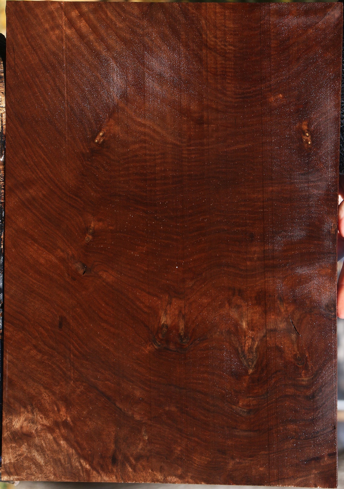 Figured Claro Walnut Lumber