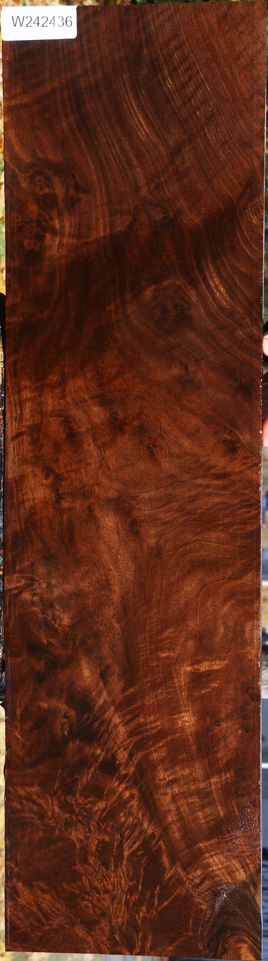 Extra Fancy Claro Walnut Lumber