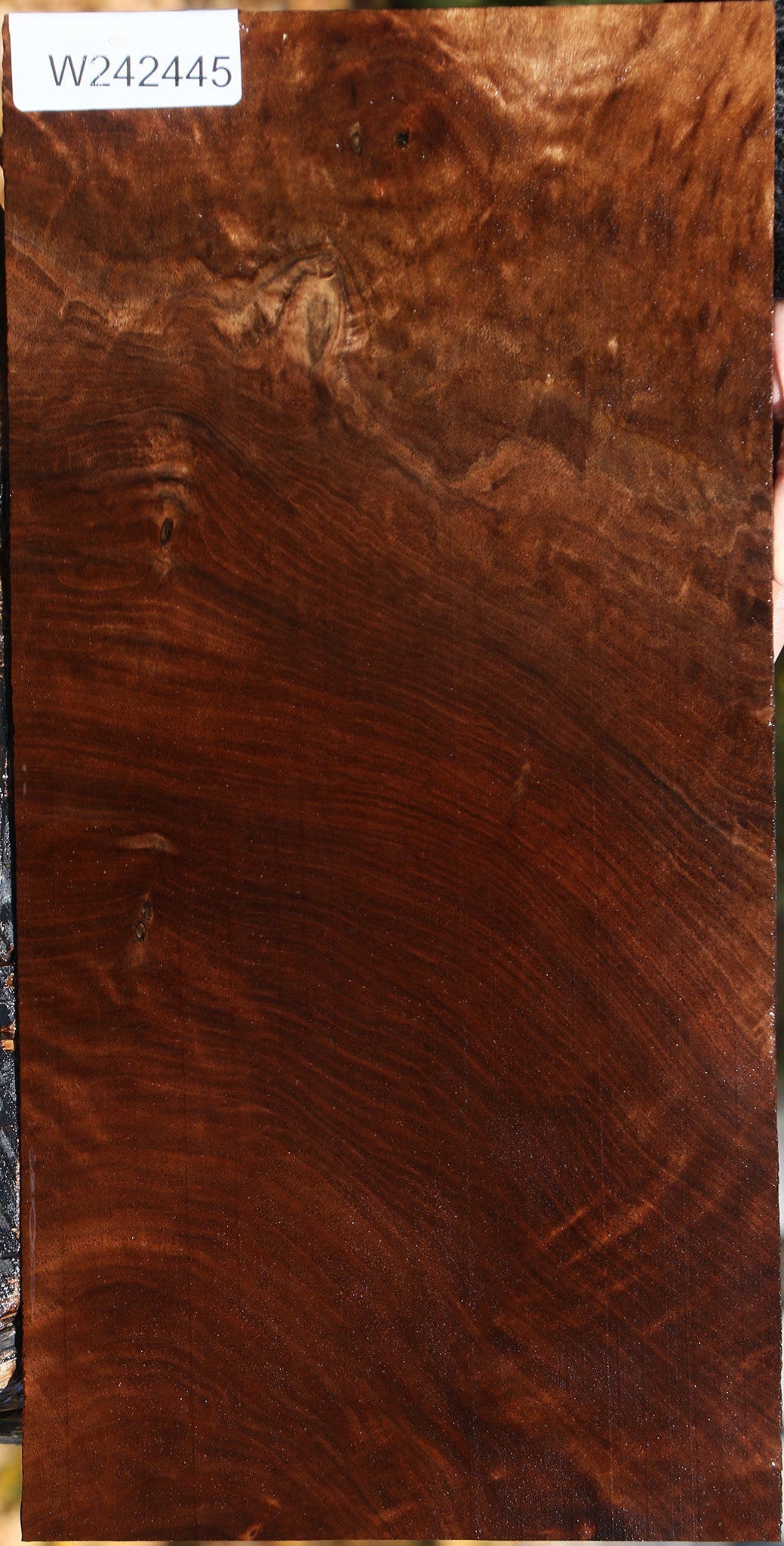 Claro Walnut Lumber