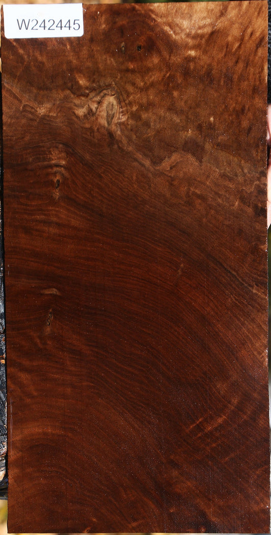Claro Walnut Lumber
