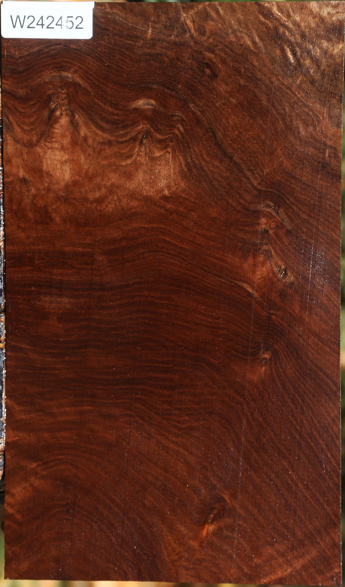 Claro Walnut Lumber
