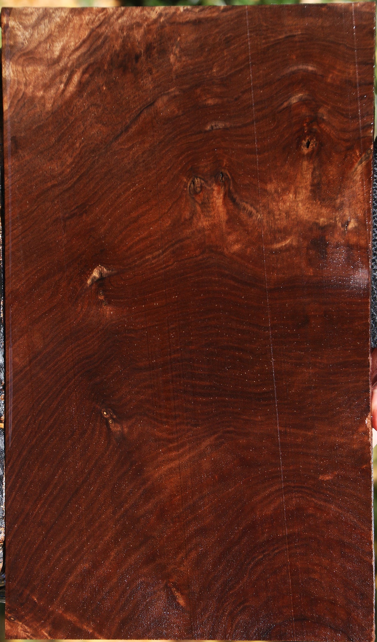 Claro Walnut Lumber
