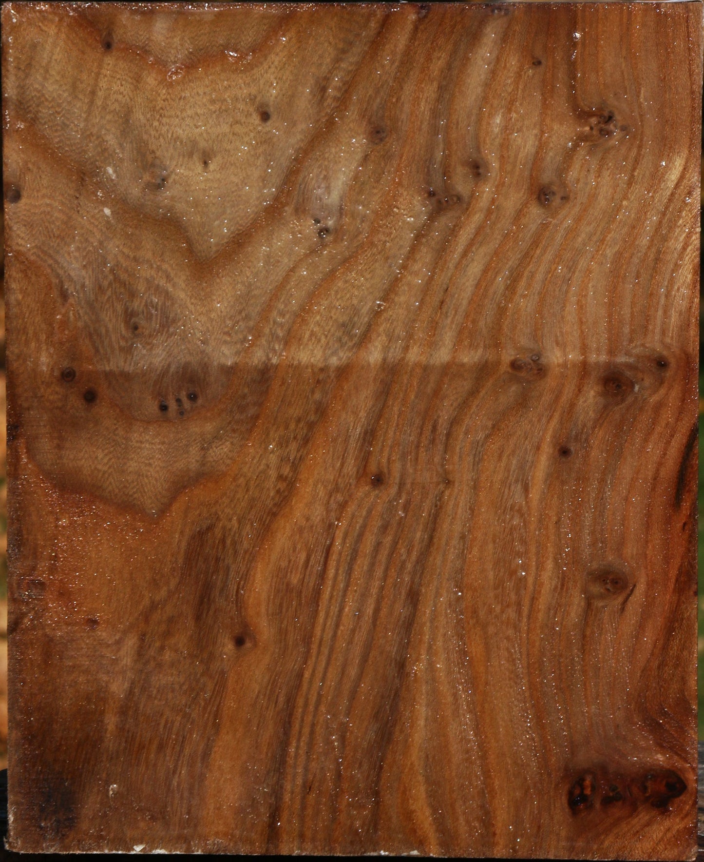 Figured Elm Bowl Blank