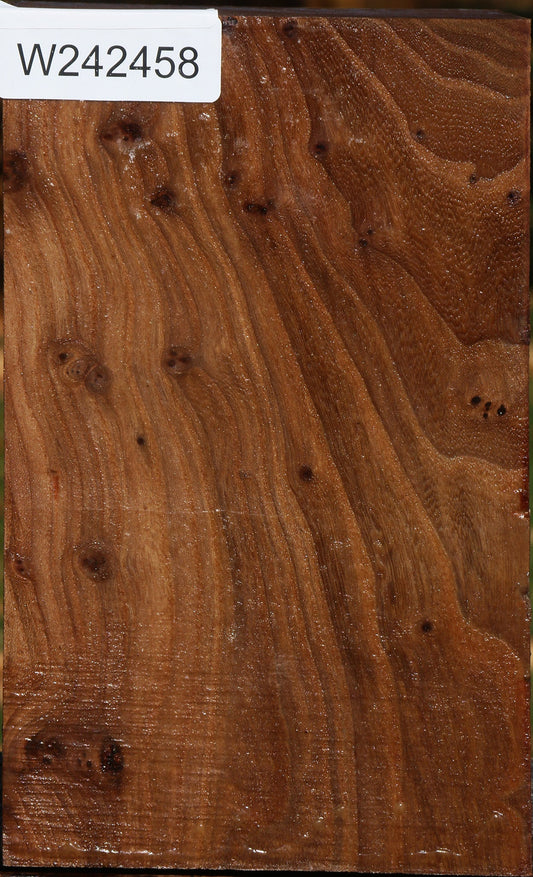 Figured Elm Vessel Blank