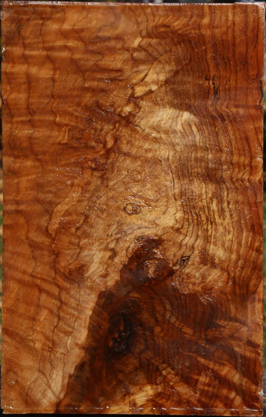 Extra Fancy Spalted Maple Vessel Blank