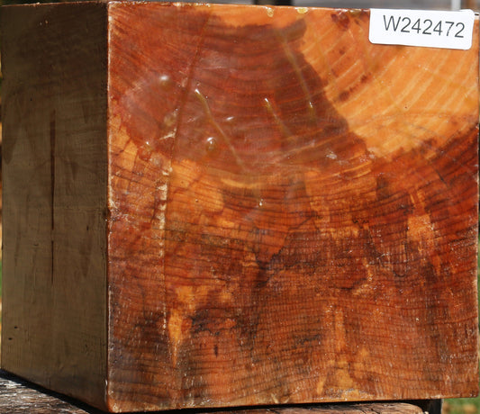 Spalted Maple Bowl Blank