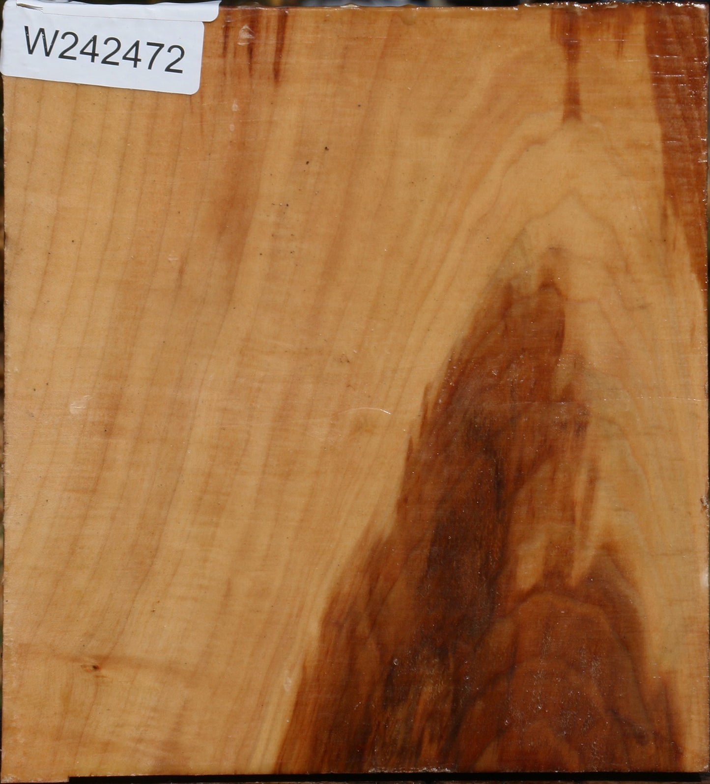 Spalted Maple Bowl Blank